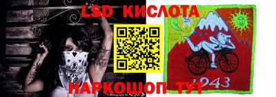 спайс Берёзовский