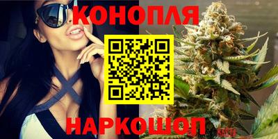 спиды Бийск