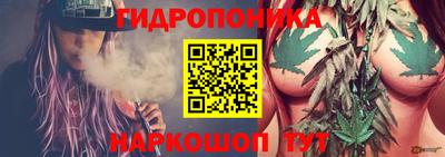 спиды Бийск