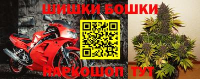спайс Берёзовский