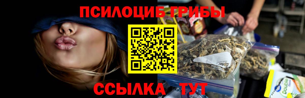 Каспийск  Псилоцибиновые грибы MAGIC MUSHROOMS  Галлюциногенные грибы ЛСД  Вход с VPN 